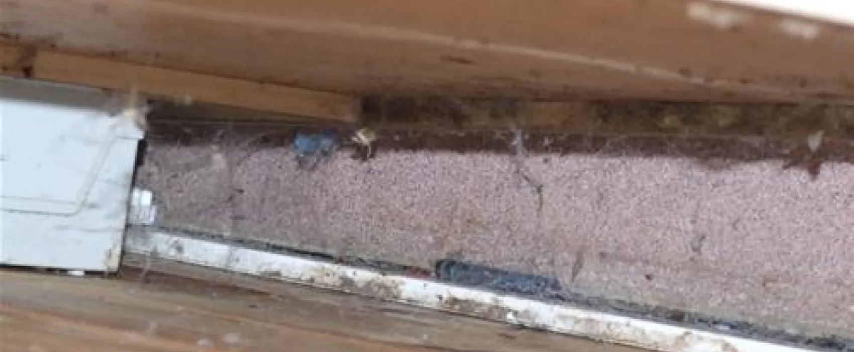 K.A.C.B.- R.A.C.B  Camping