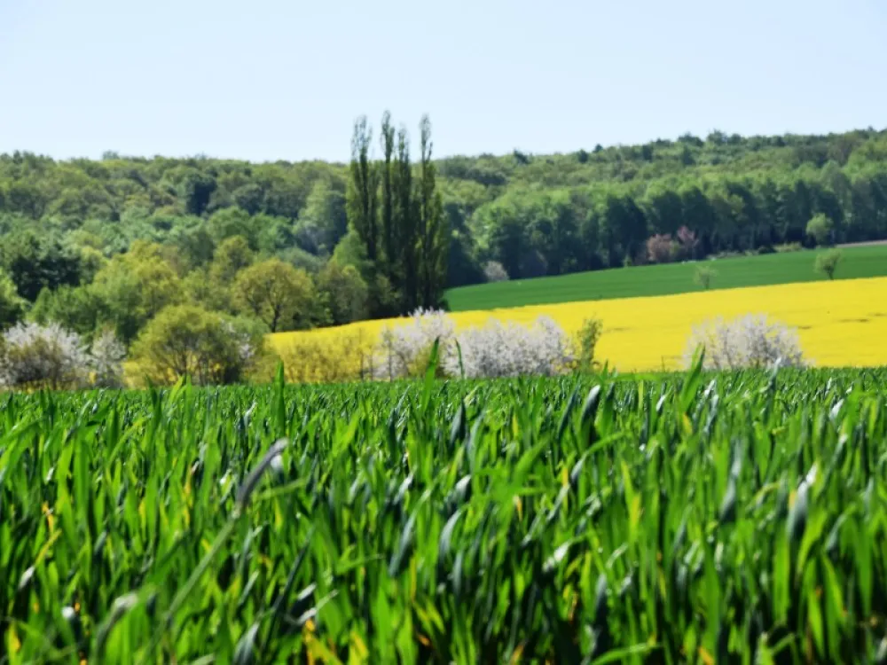 Camping am Waldbad**** Hameln