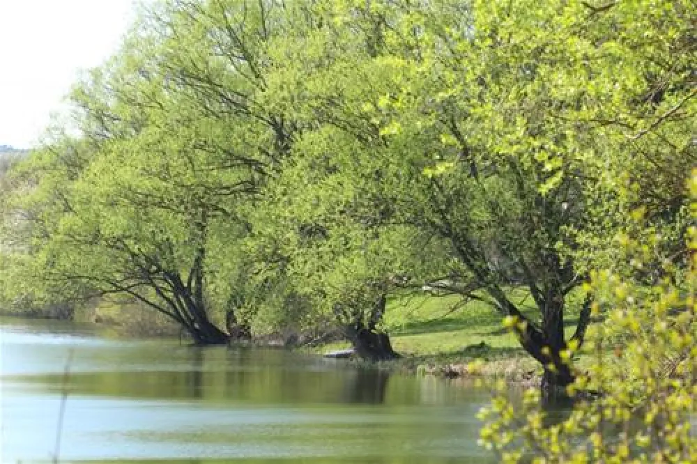 Camping Wissmarer See