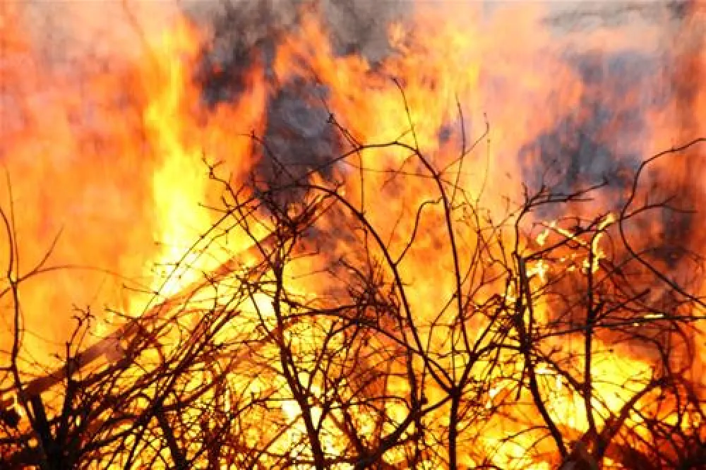 Camping Wissmarer See