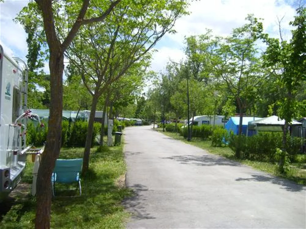 Camping Internacional Aranjuez