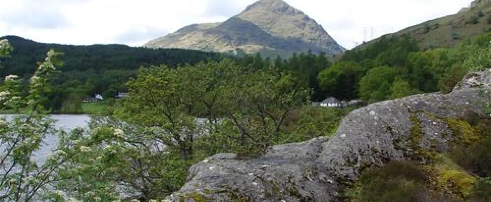 Lomond Woods Holiday Park