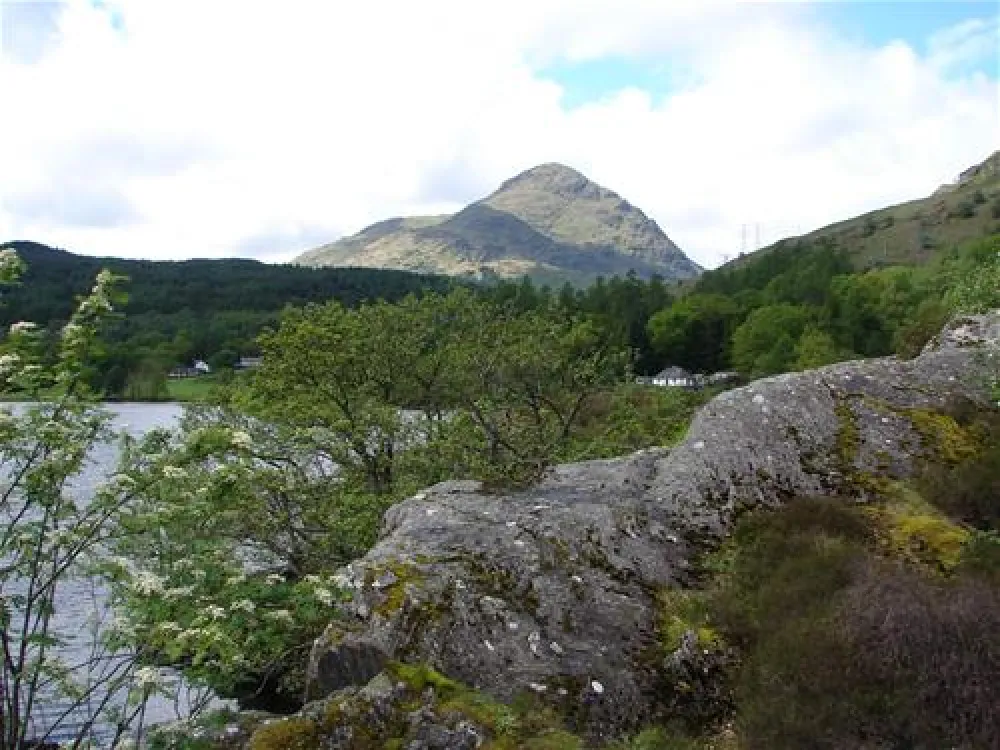 Lomond Woods Holiday Park