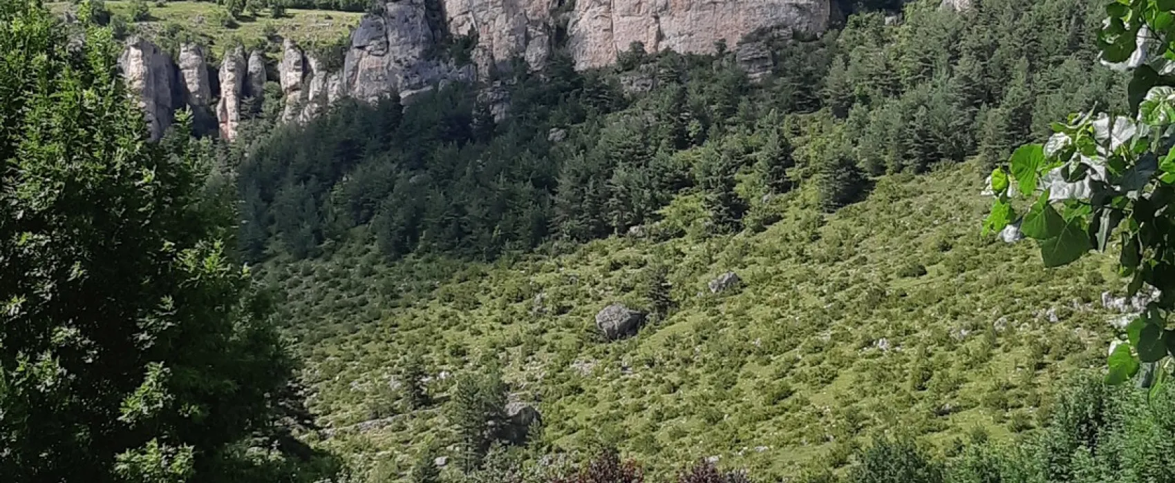 Kawan village Le Capelan             ne Capelan  