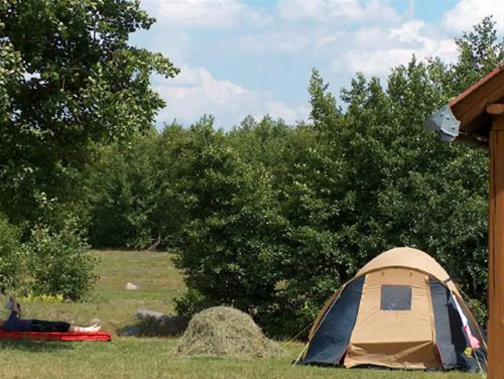 Camping Poieni