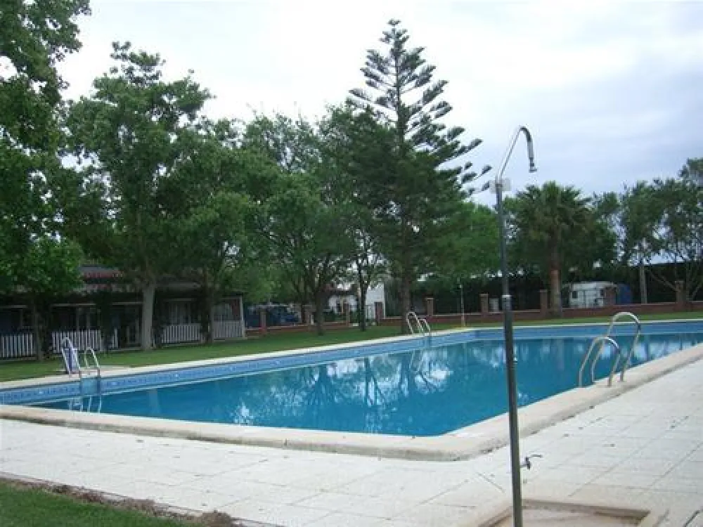 Camping el Palmar