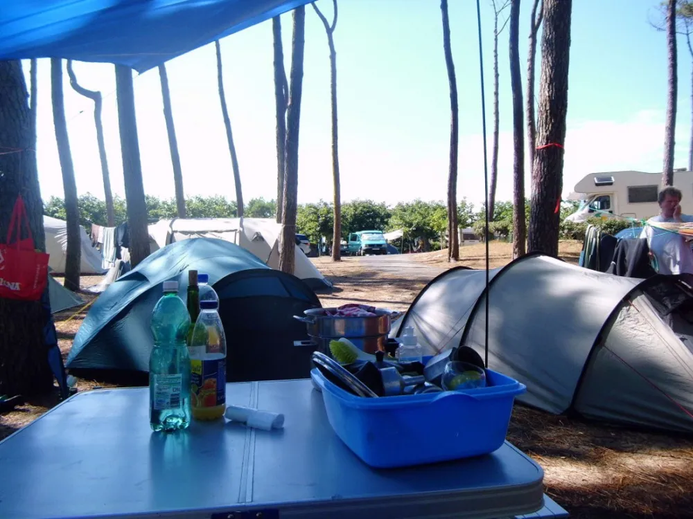 Camping Albret plage