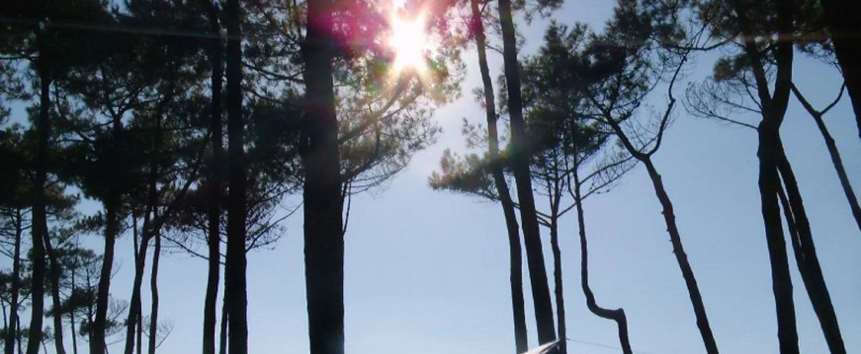 Camping Albret plage