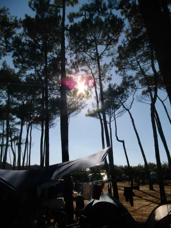 Camping Albret plage