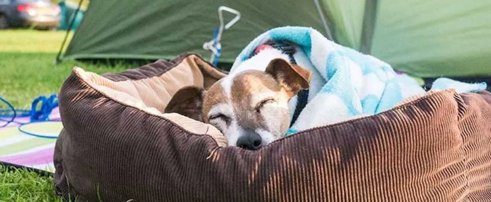 Lime Tree Holiday Park