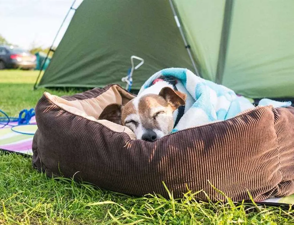 Lime Tree Holiday Park