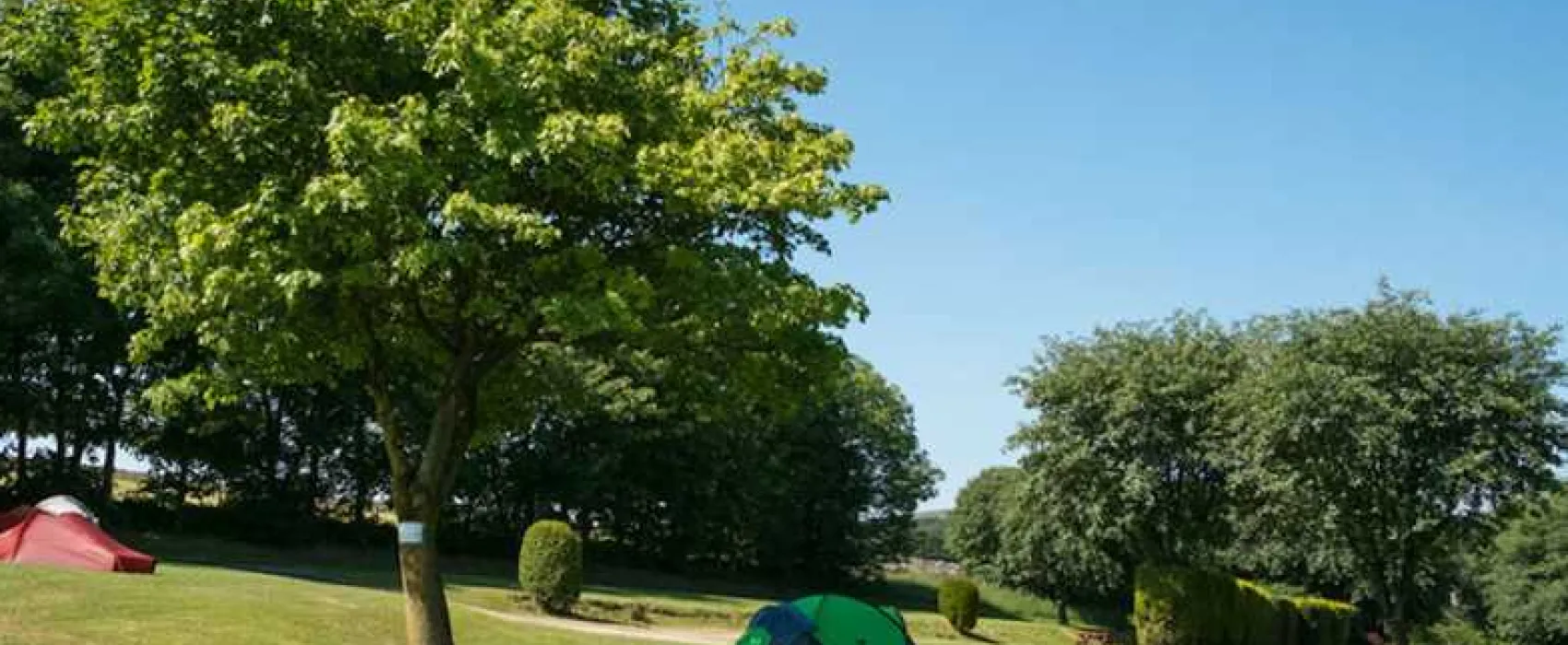 Lime Tree Holiday Park