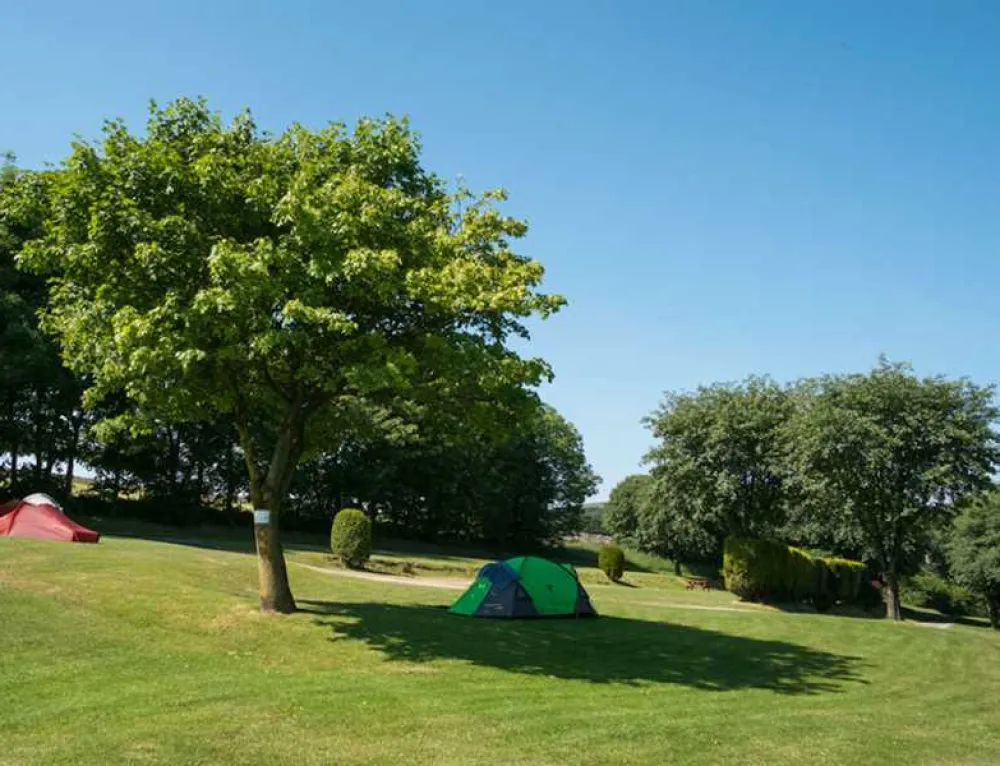 Lime Tree Holiday Park