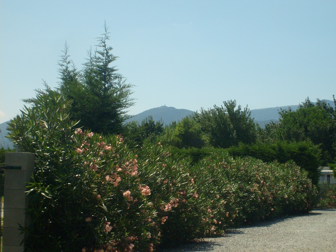 Camping La Marinade photo 3