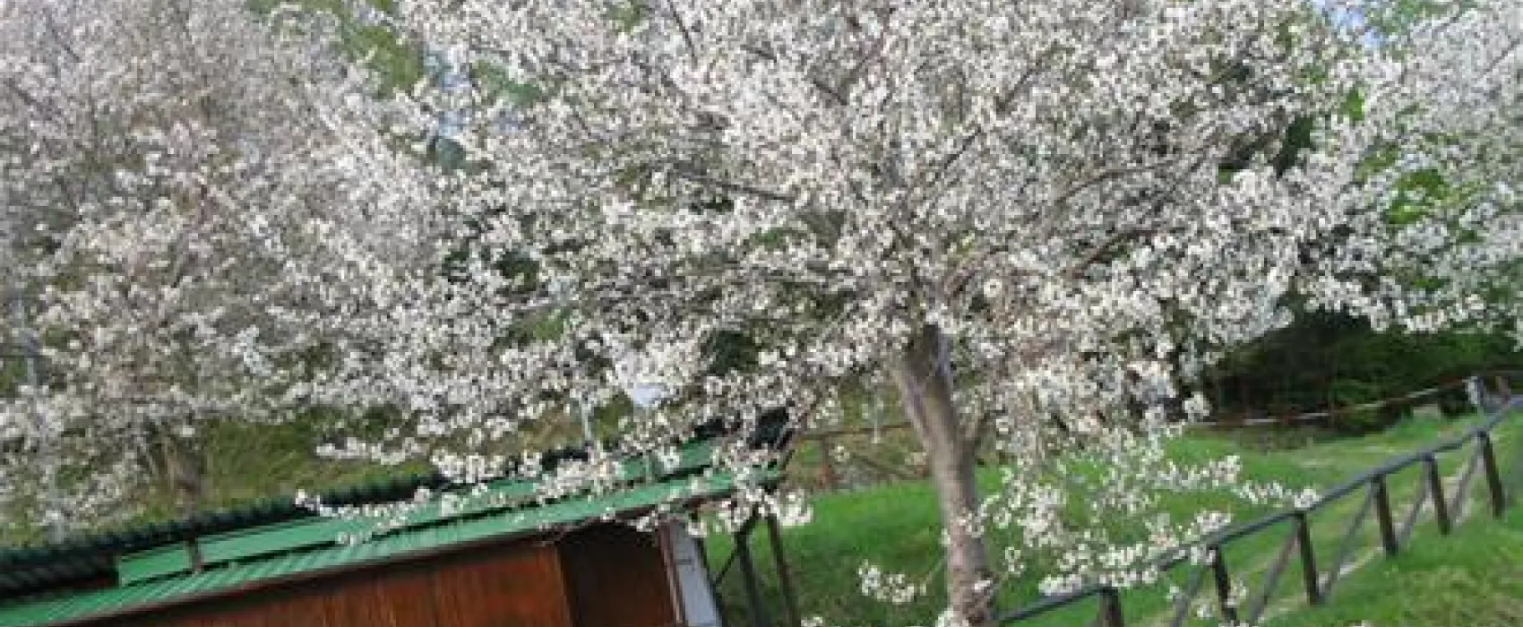 Camping Bucaneve - B&B