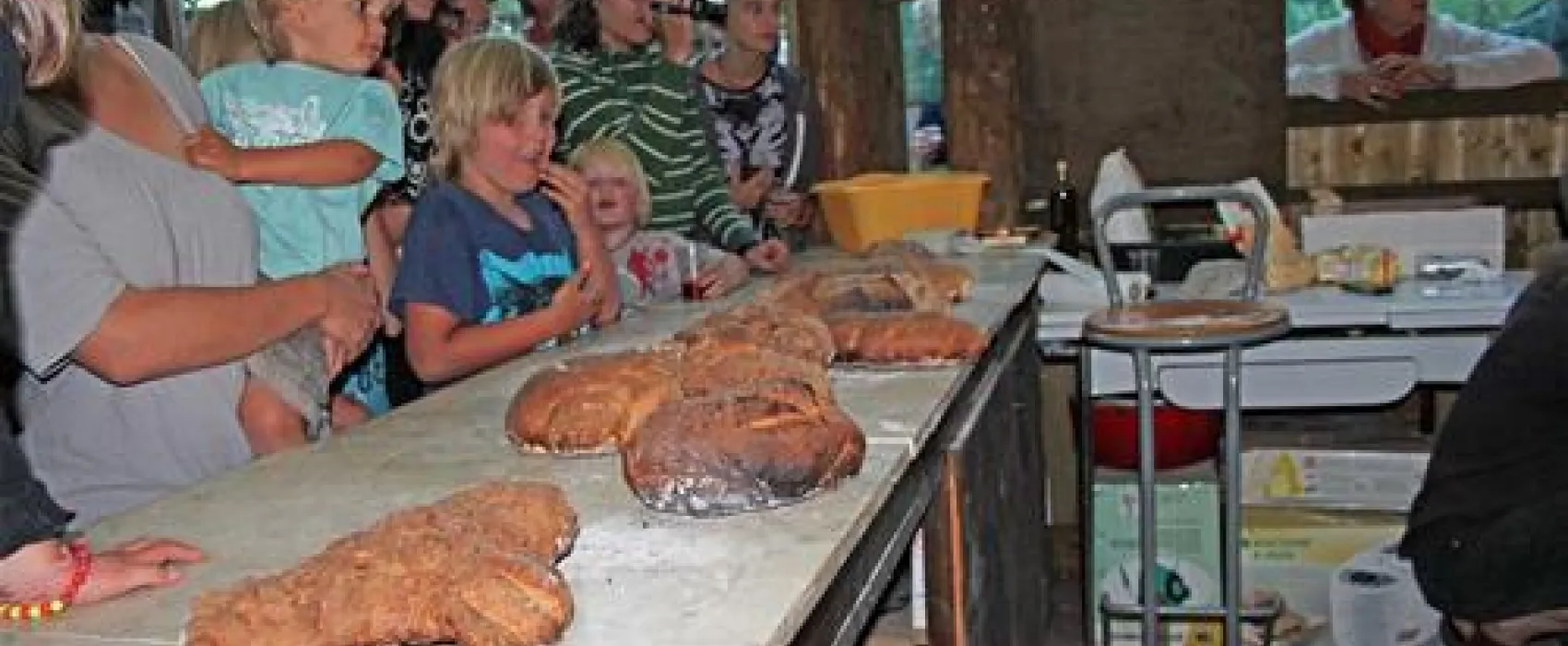 Camping  Le Petit Bonheur