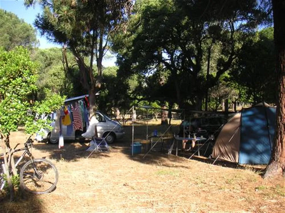 Camping California  