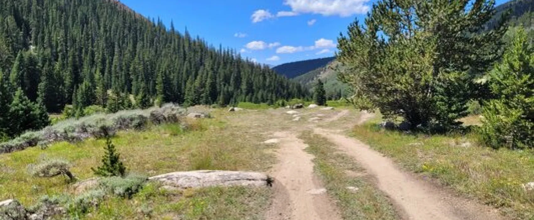 Big Union Creek Dispersed Camping