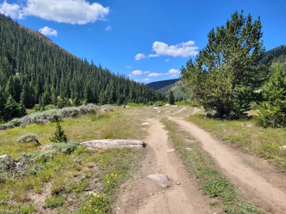 Big Union Creek Dispersed Camping