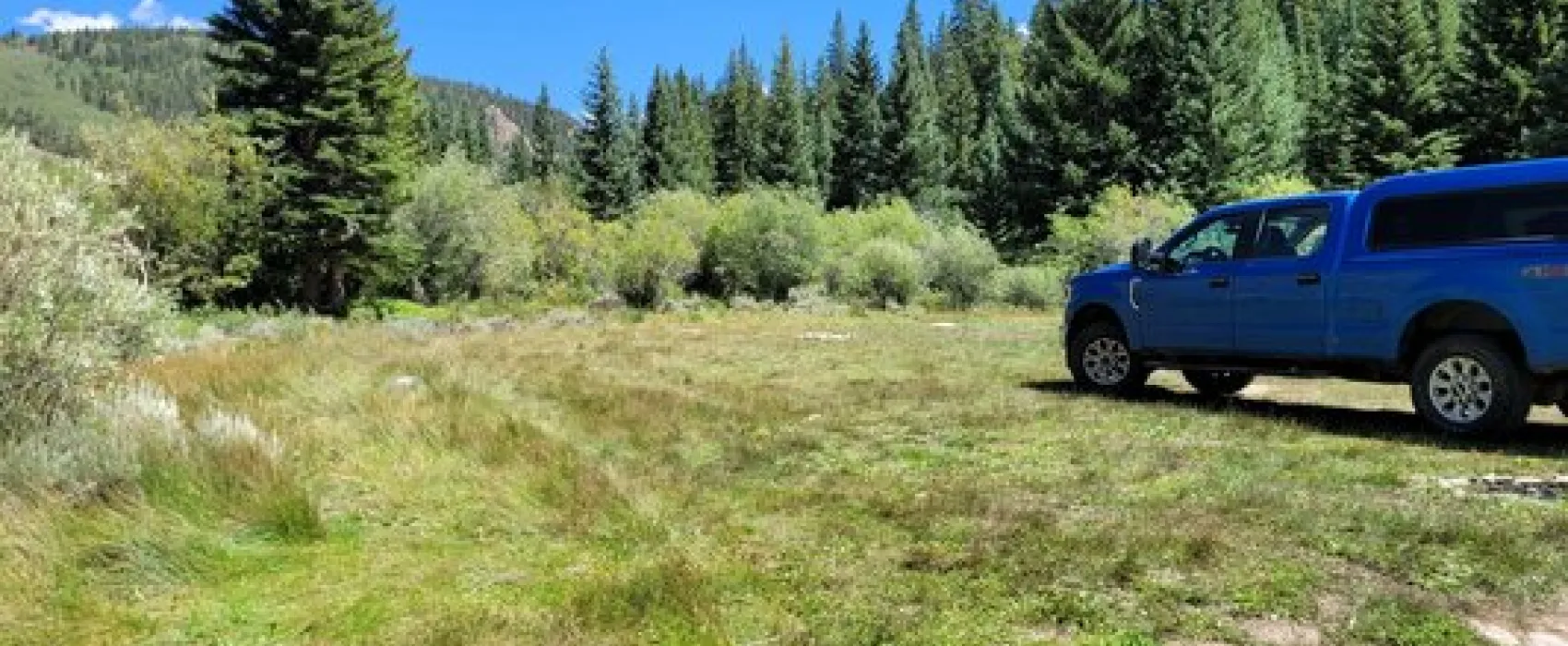 Big Union Creek Dispersed Camping