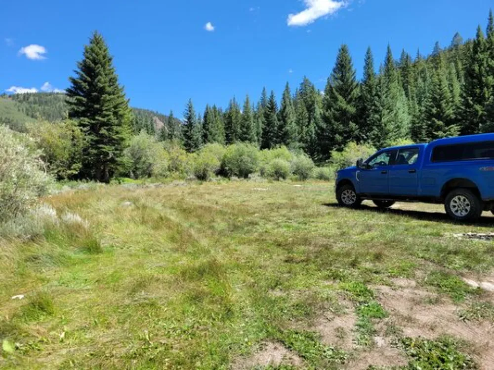 Big Union Creek Dispersed Camping