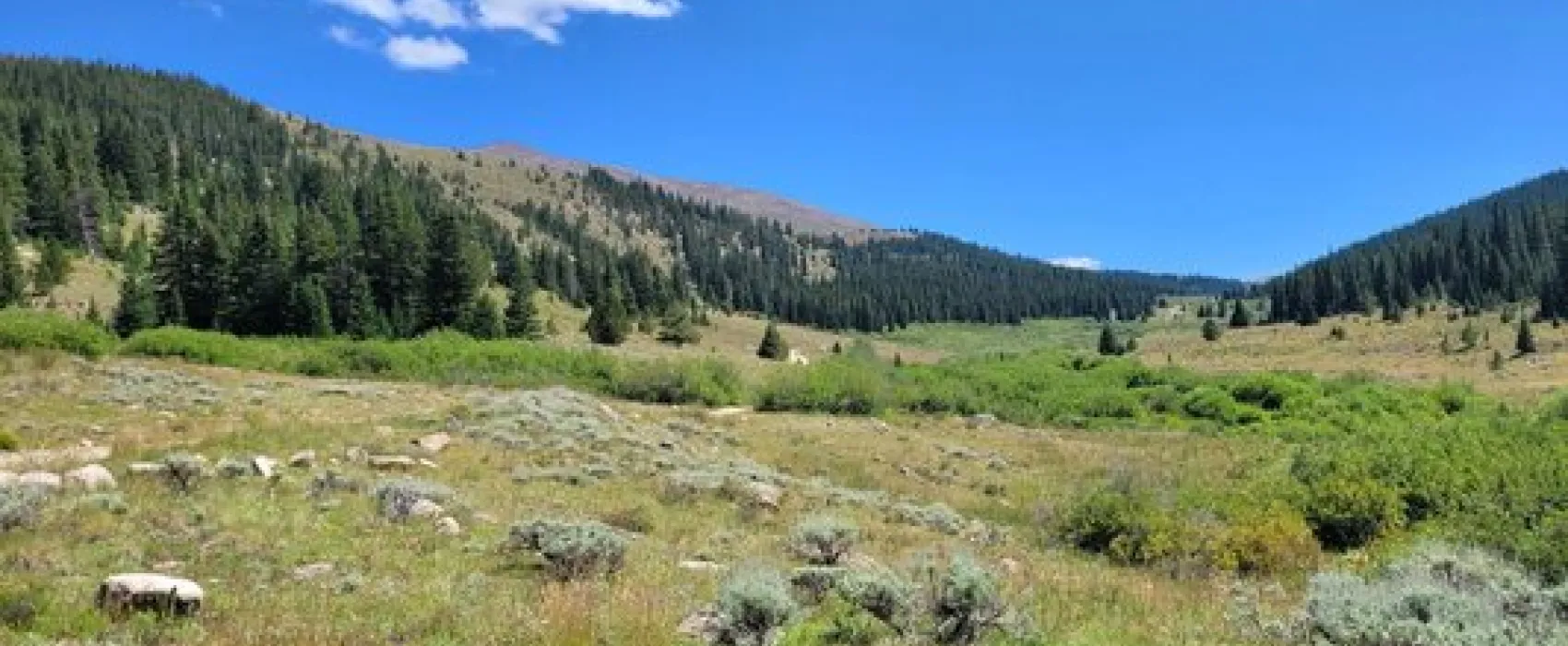 Big Union Creek Dispersed Camping