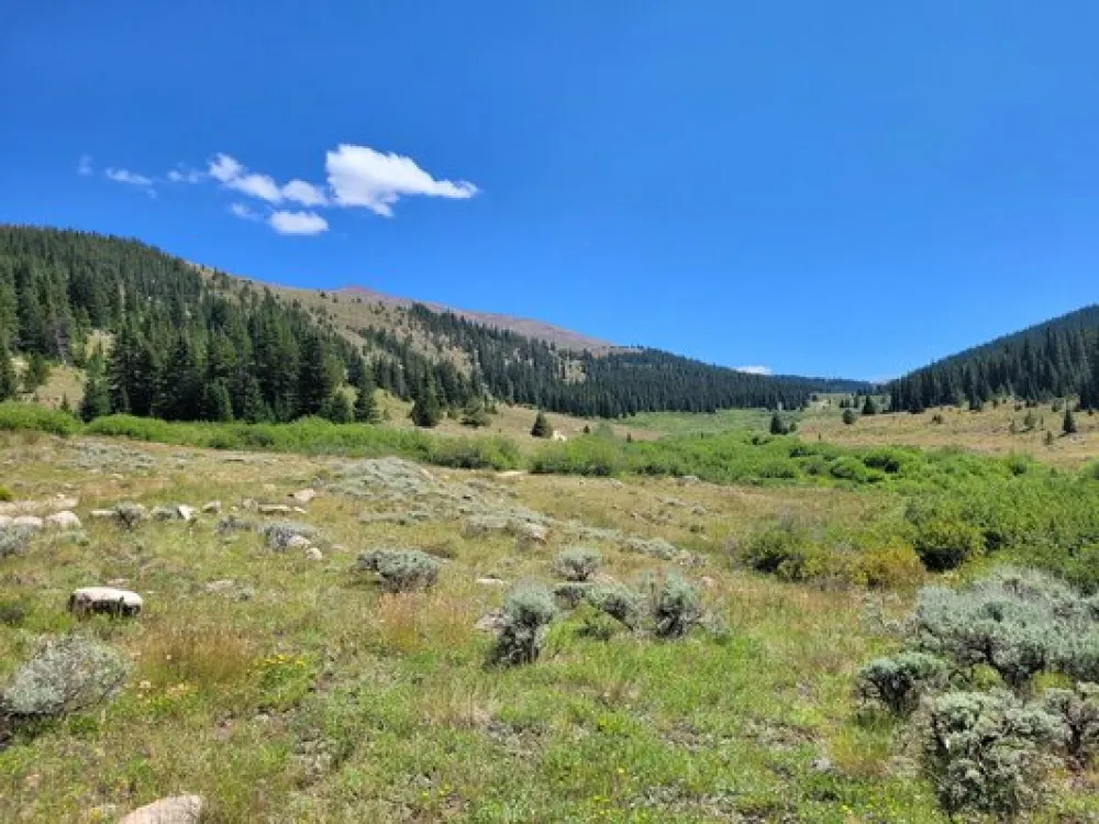 Big Union Creek Dispersed Camping