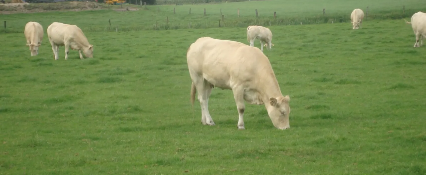 Minicamping Erve Beernink