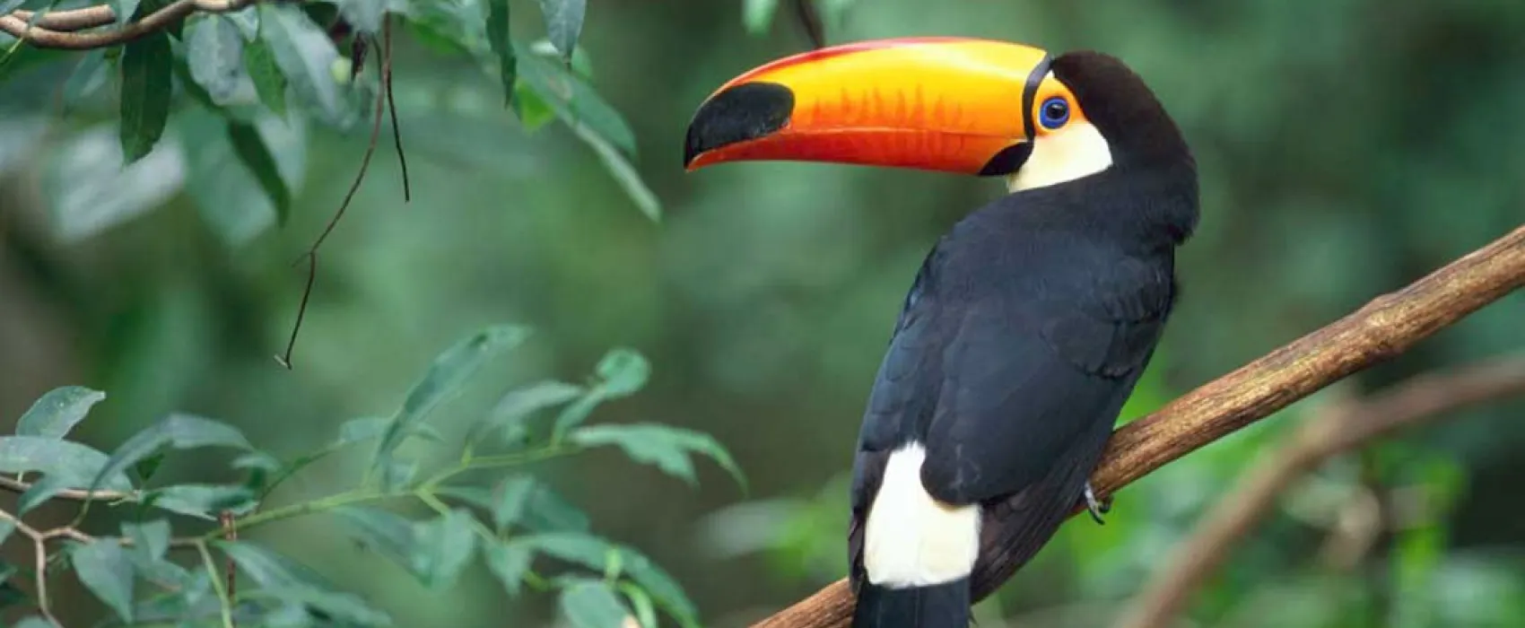 Minicamping Erve Beernink