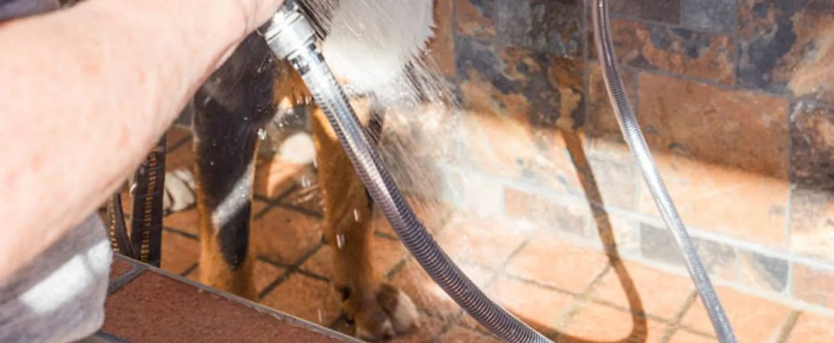 Camping-Grüntensee-International