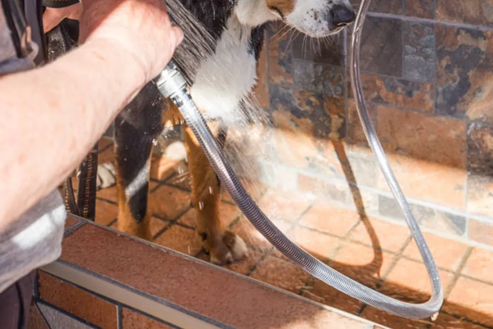 Camping-Grüntensee-International