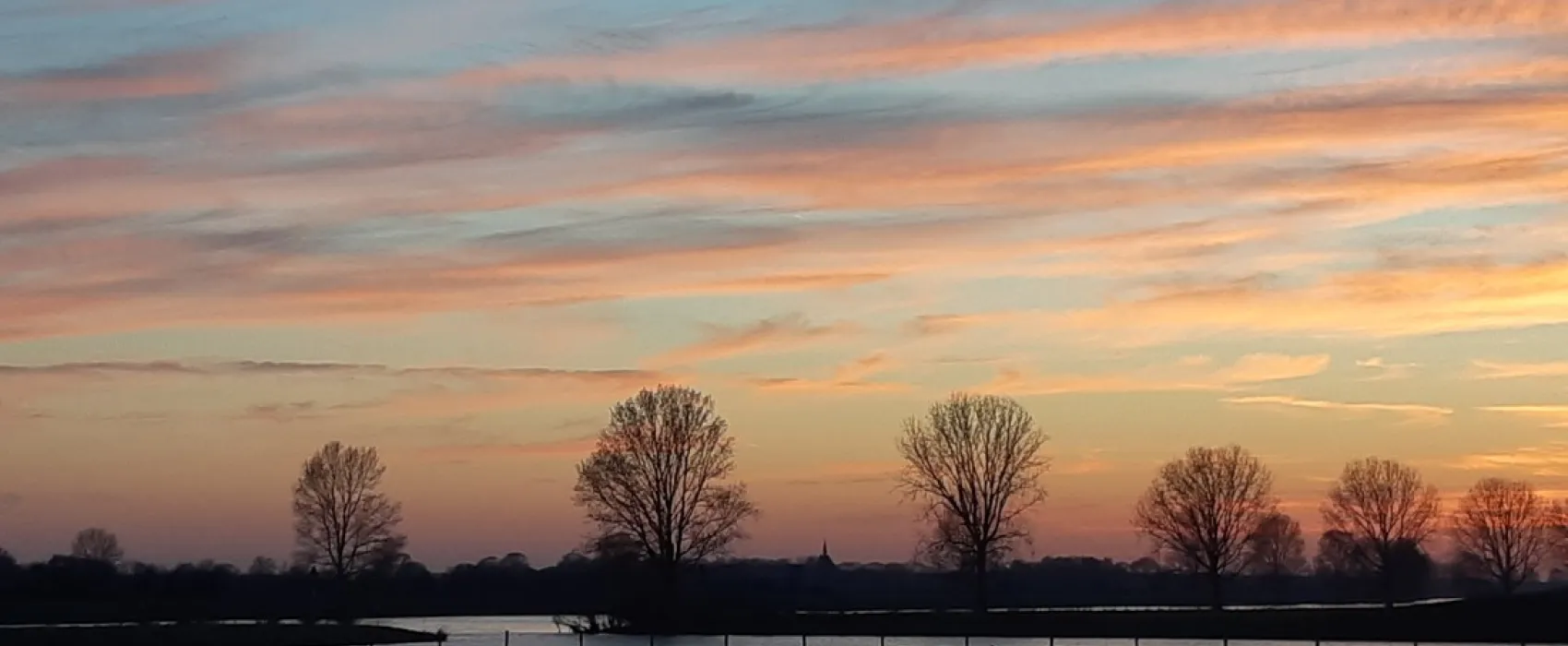 Minicamping De Bloemenkamp