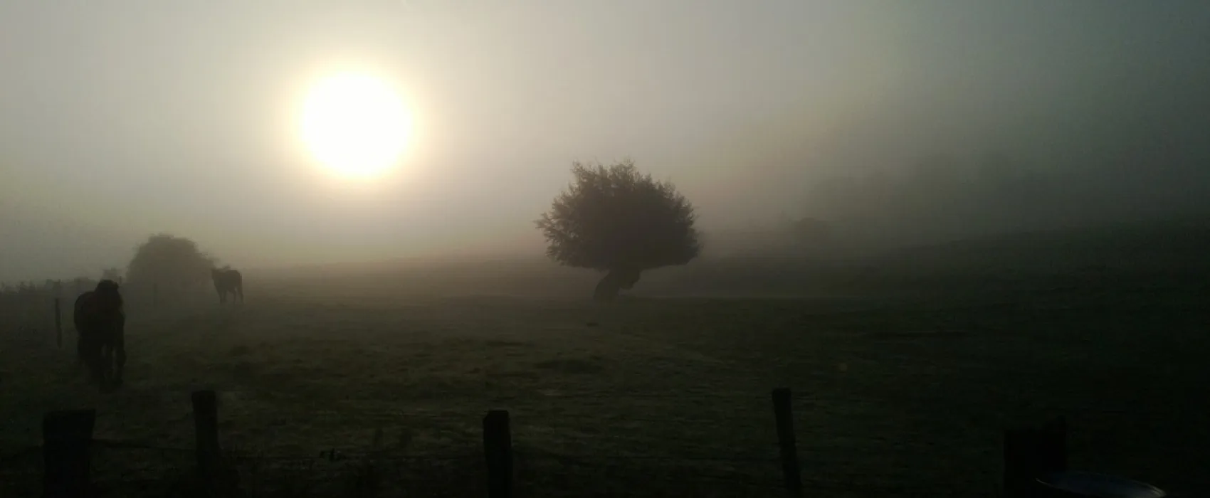 Minicamping De Bloemenkamp