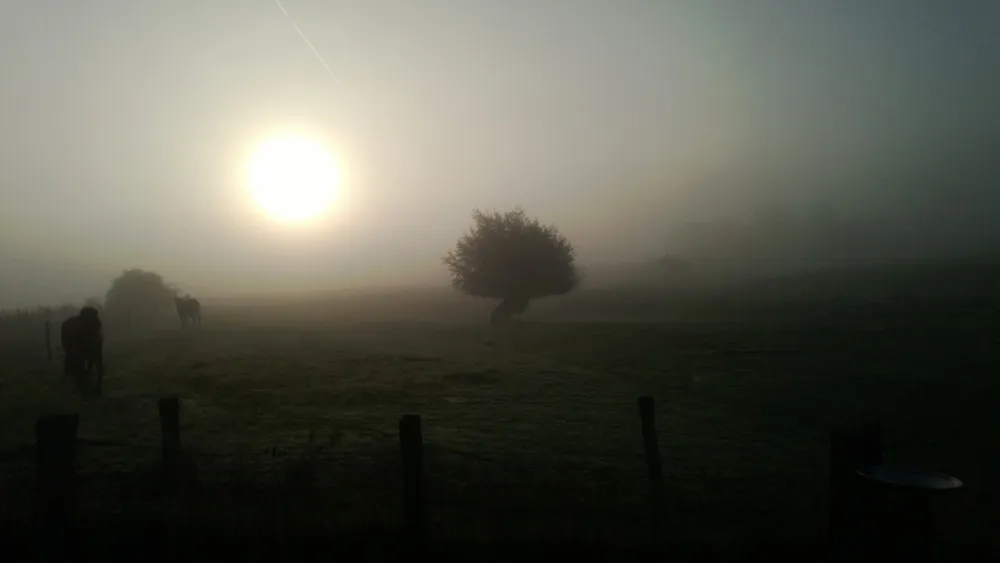 Minicamping De Bloemenkamp