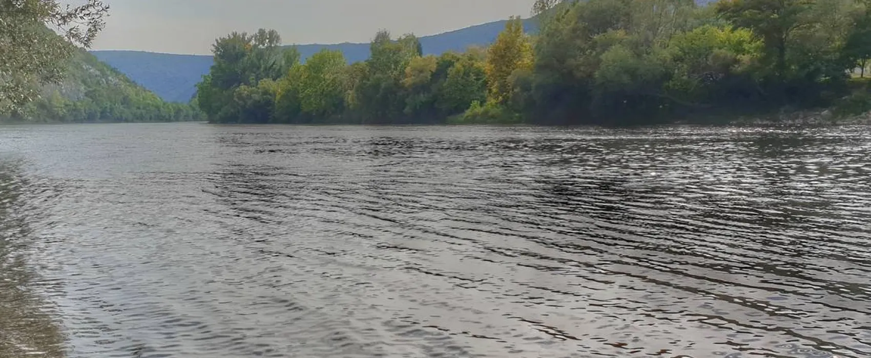 Auto Camp Green park