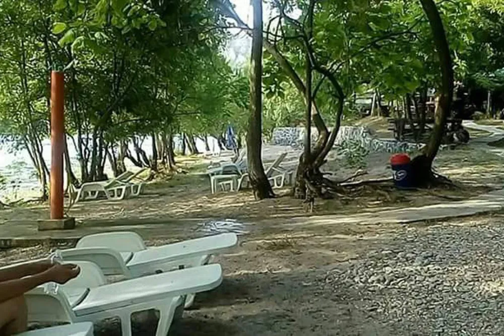 Auto Camp Green park