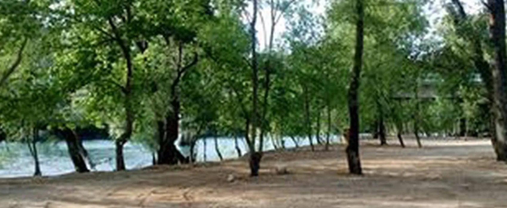 Auto Camp Green park