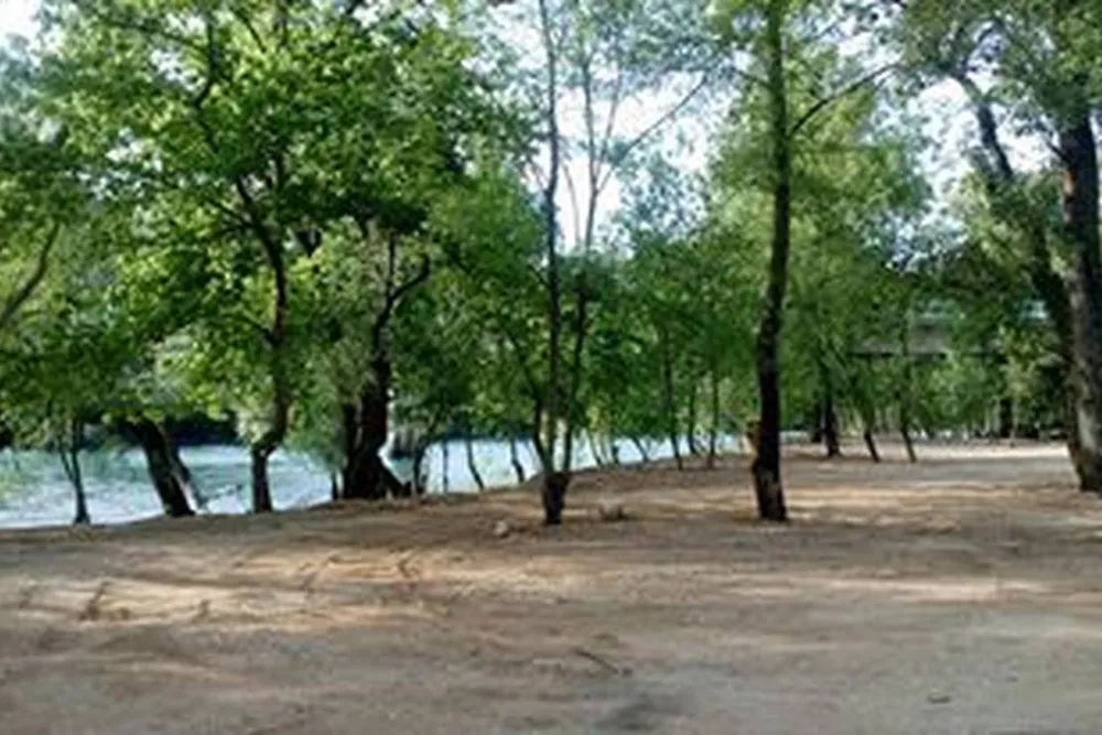 Auto Camp Green park