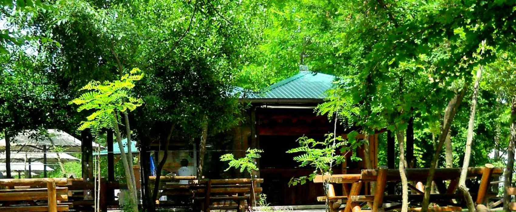 Auto Camp Green park