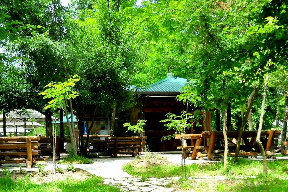 Auto Camp Green park