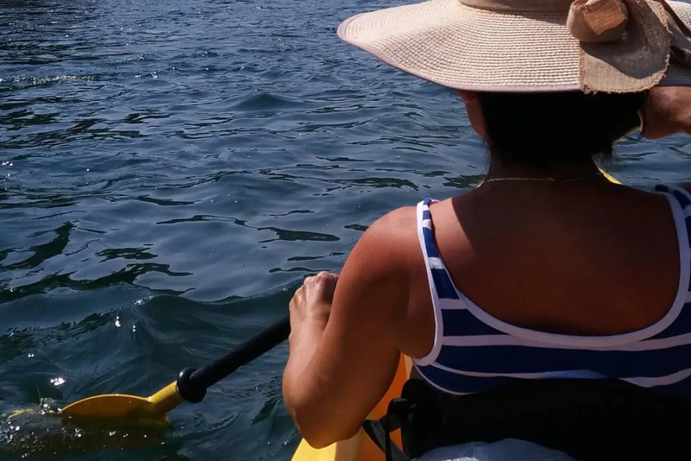 Auto Camp Green park