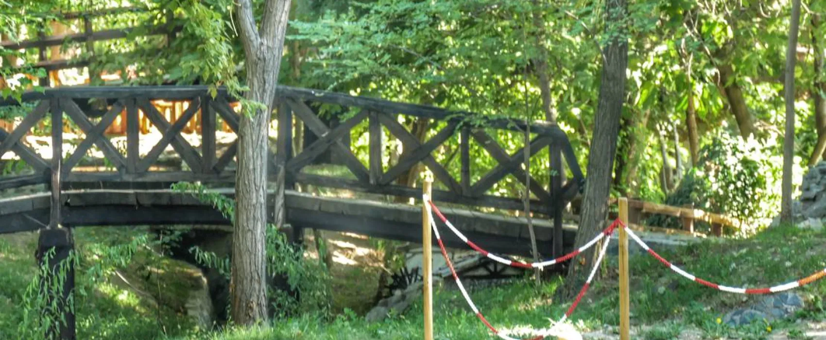 Auto Camp Green park