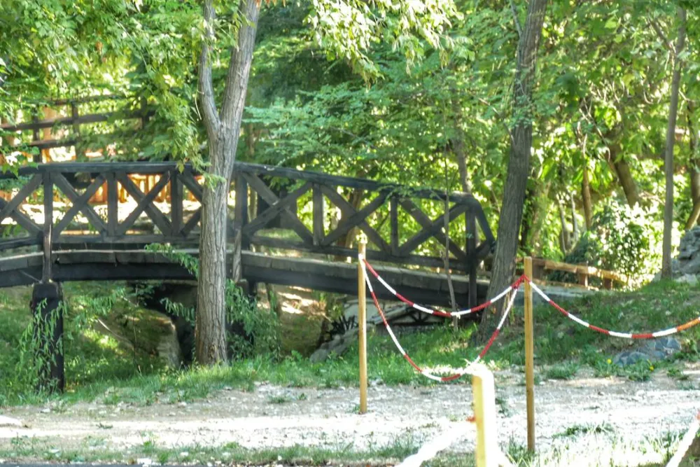 Auto Camp Green park