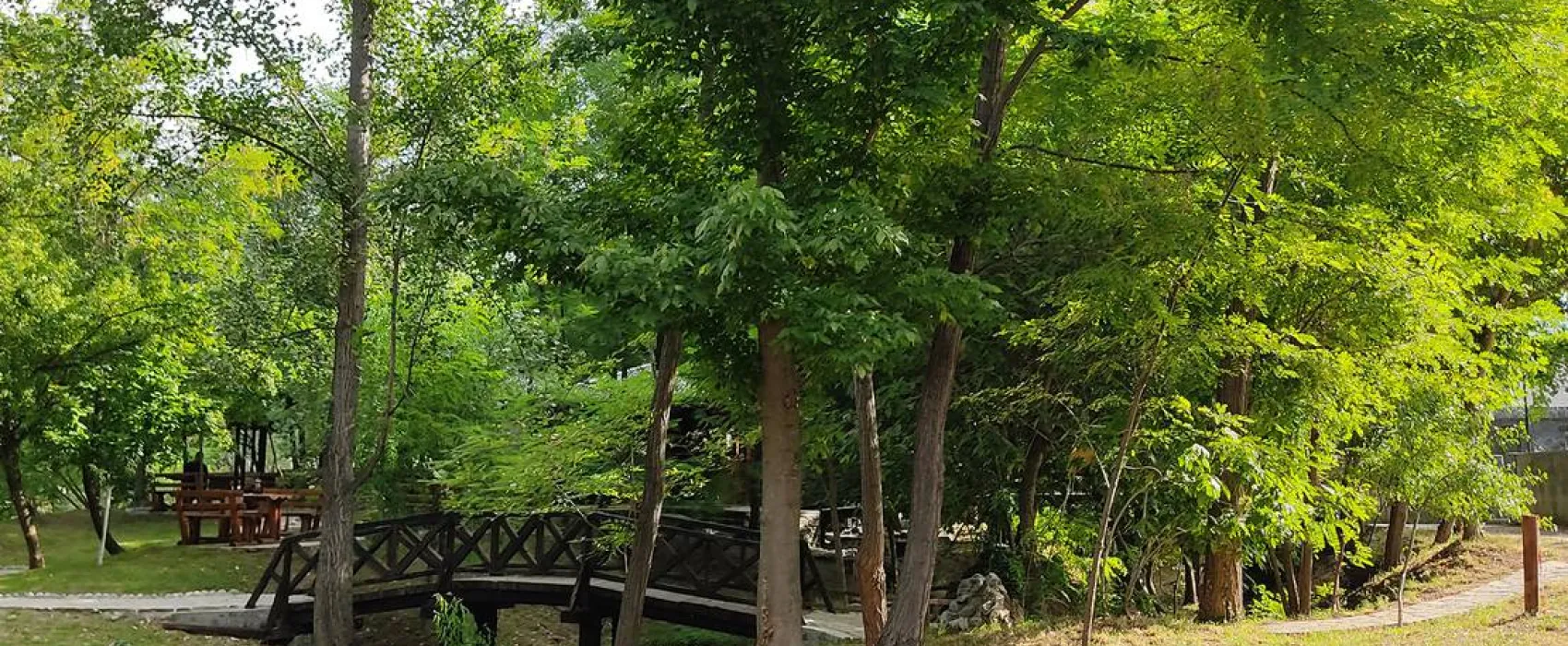 Auto Camp Green park