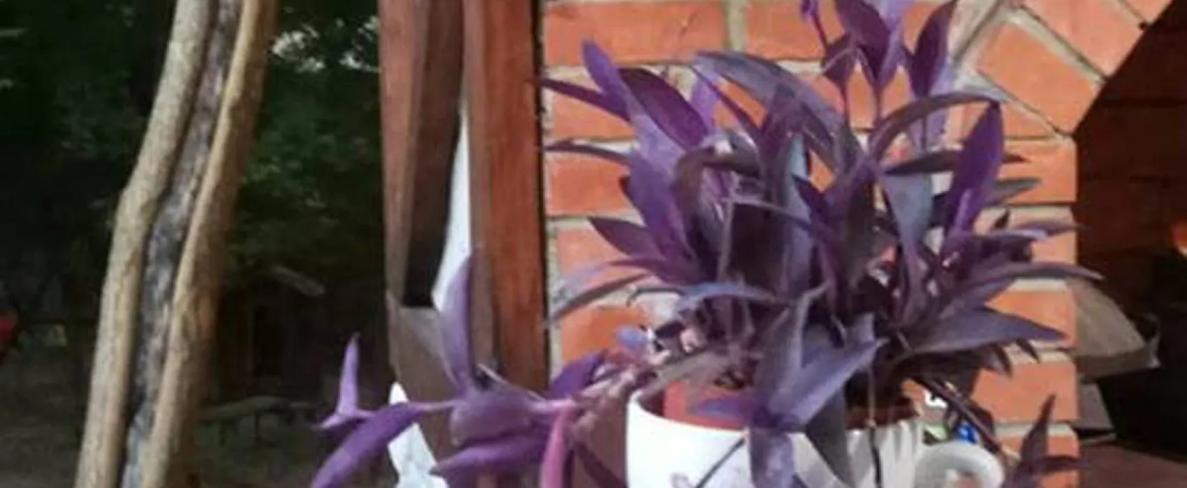 Auto Camp Green park