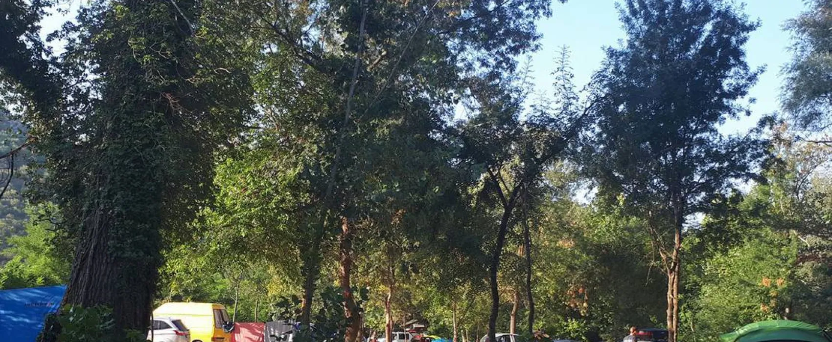 Auto Camp Green park