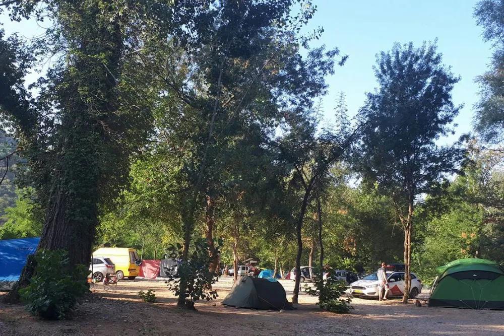 Auto Camp Green park