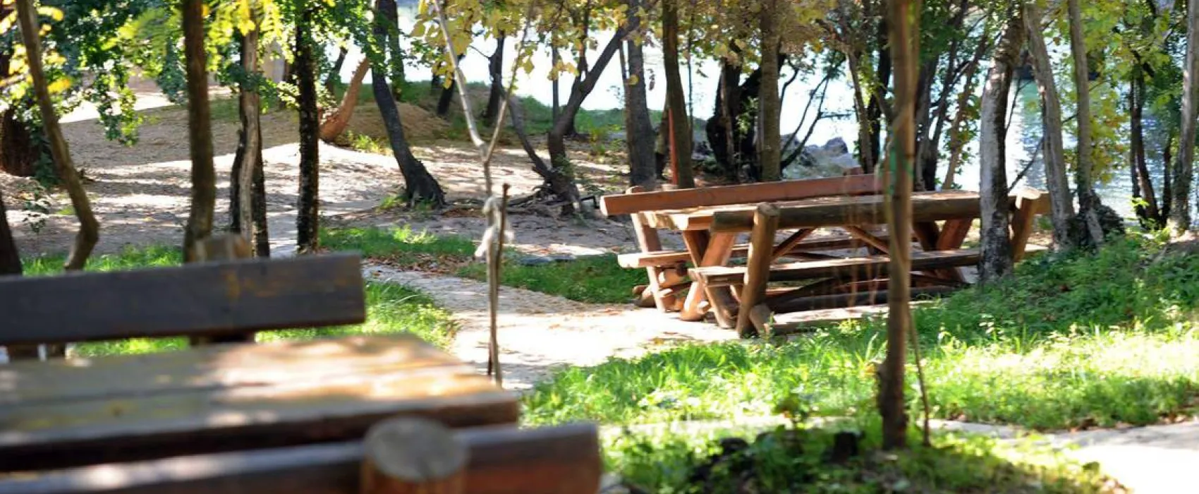 Auto Camp Green park