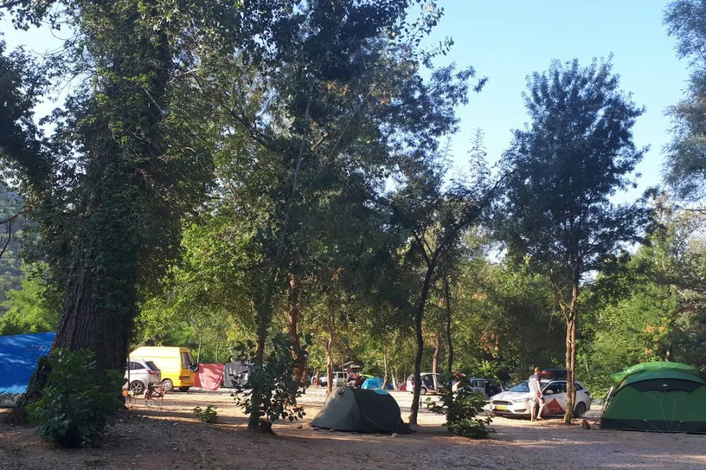 Auto Camp Green park
