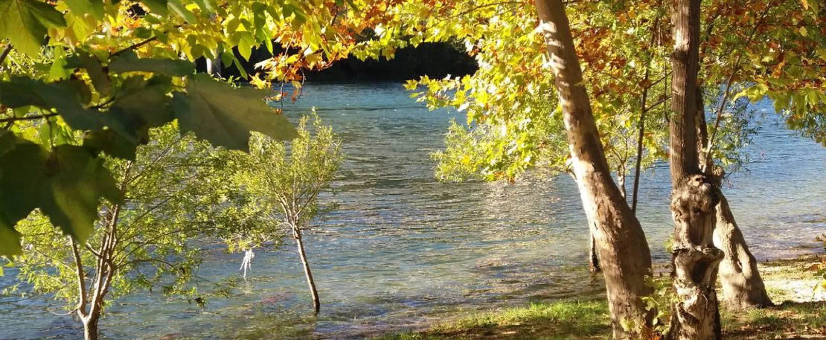 Auto Camp Green park